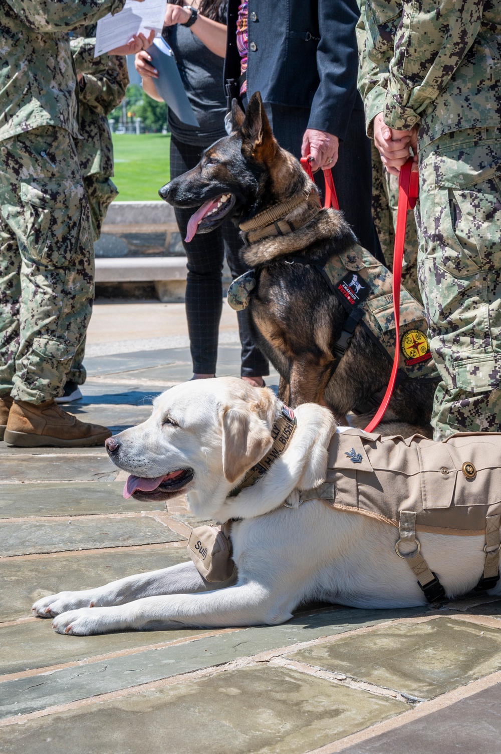 Just call me Honorary Chief Petty Officer Sully H.W. Bush!