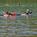 173rd Aircrew Flight Equipment hosts water survival training for two units