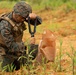 3rd LSB Engineer Support Platoon Marines conduct MOUT Training