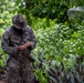 Communications Set Up | Task Force Koa Moana 22