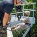 Echo Company Rappel Tower