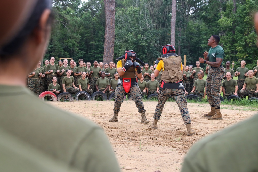 Echo Company Body Sparring and Pugil Sticks