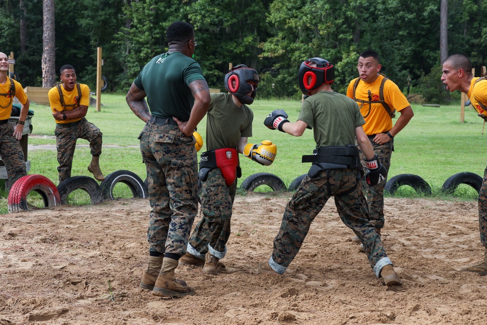 Echo Company Body Sparring and Pugil Sticks