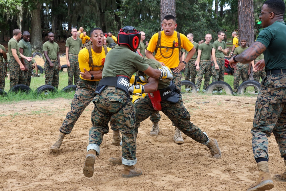 Echo Company Body Sparring and Pugil Sticks