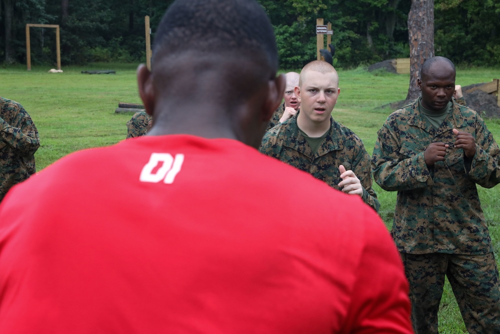 Alpha Company Confidence Course