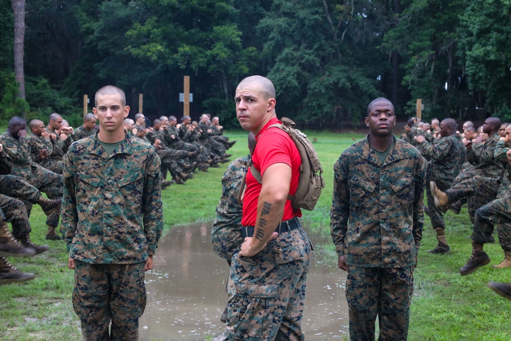 Alpha Company Confidence Course