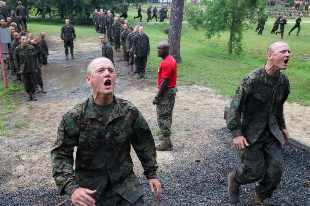 Alpha Company Confidence Course