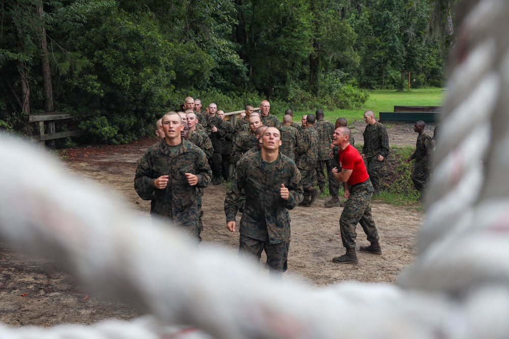 Alpha Company Confidence Course