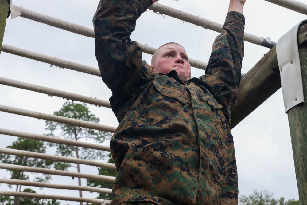 Alpha Company Confidence Course