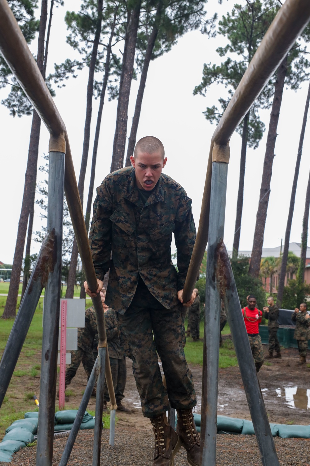 Alpha Company Confidence Course