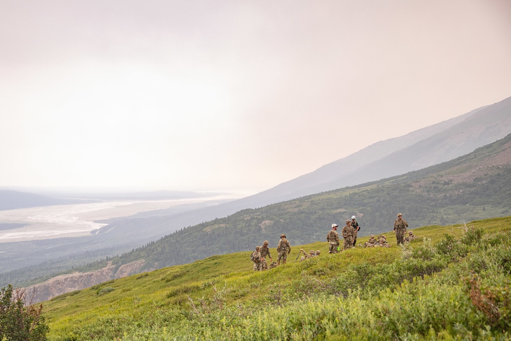 A Tactical Pause with a View