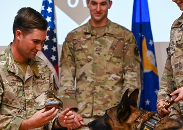 MWD Retirement