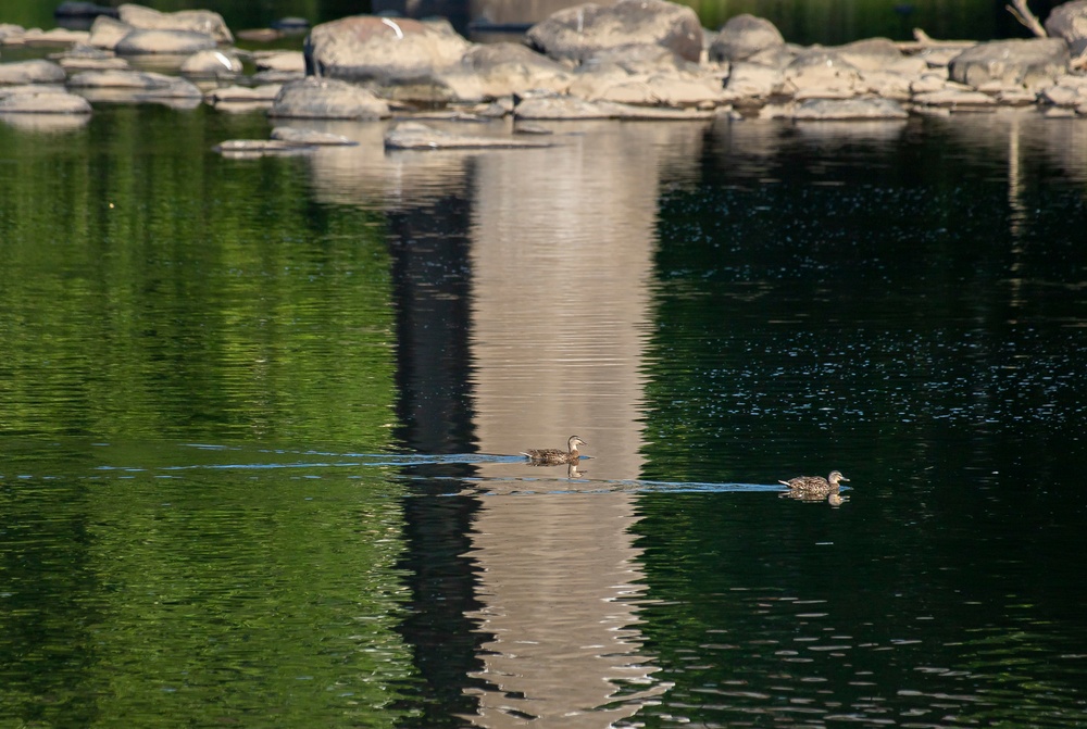 Recreation opportunities at Youghiogheny River Lake