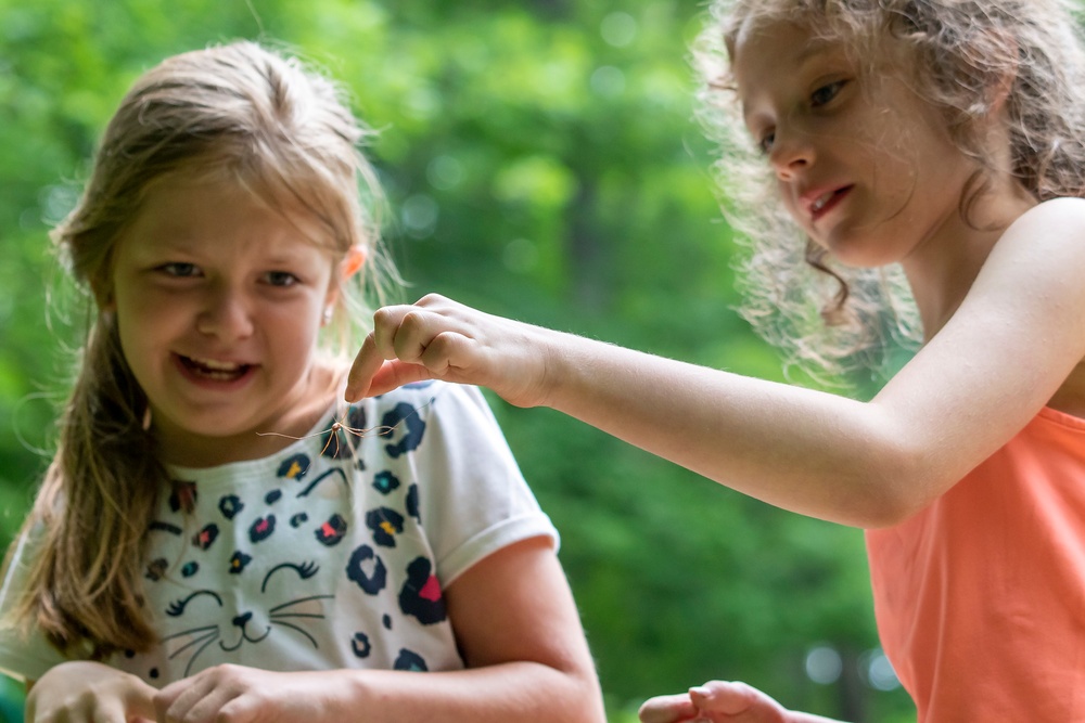 Recreation opportunities at Youghiogheny River Lake