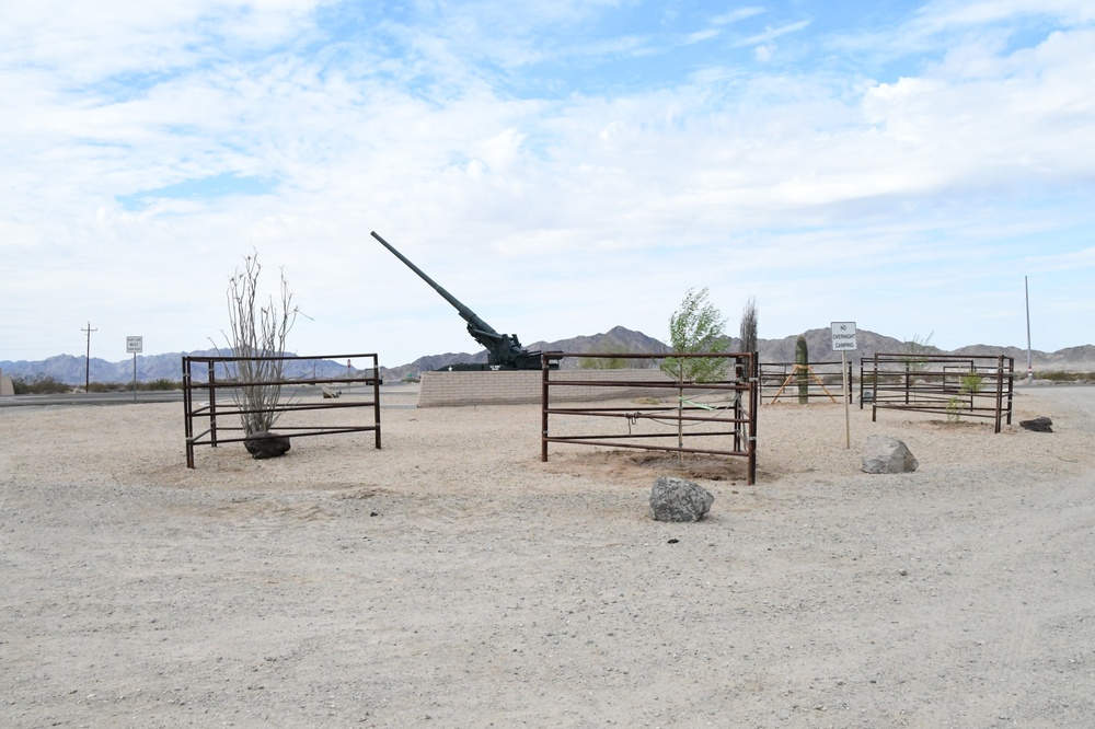 New native trees planted by iconic Big Guns