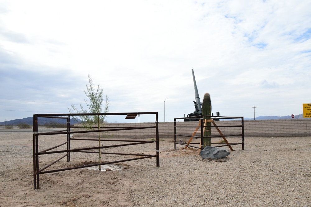 New native trees planted by iconic Big Guns