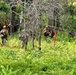 2nd Battalion, 24th Marines conduct field training at Fort McCoy