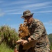 3rd LSB Engineer Support Platoon Marines build defensive positions