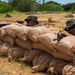 3rd LSB Engineer Support Platoon Marines build defensive positions