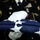 Honor Guard