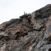 JBER special warfare Airmen tackle new heights