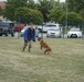 Military working dogs showcase Wiesbaden law enforcement's &quot;secret weapon”