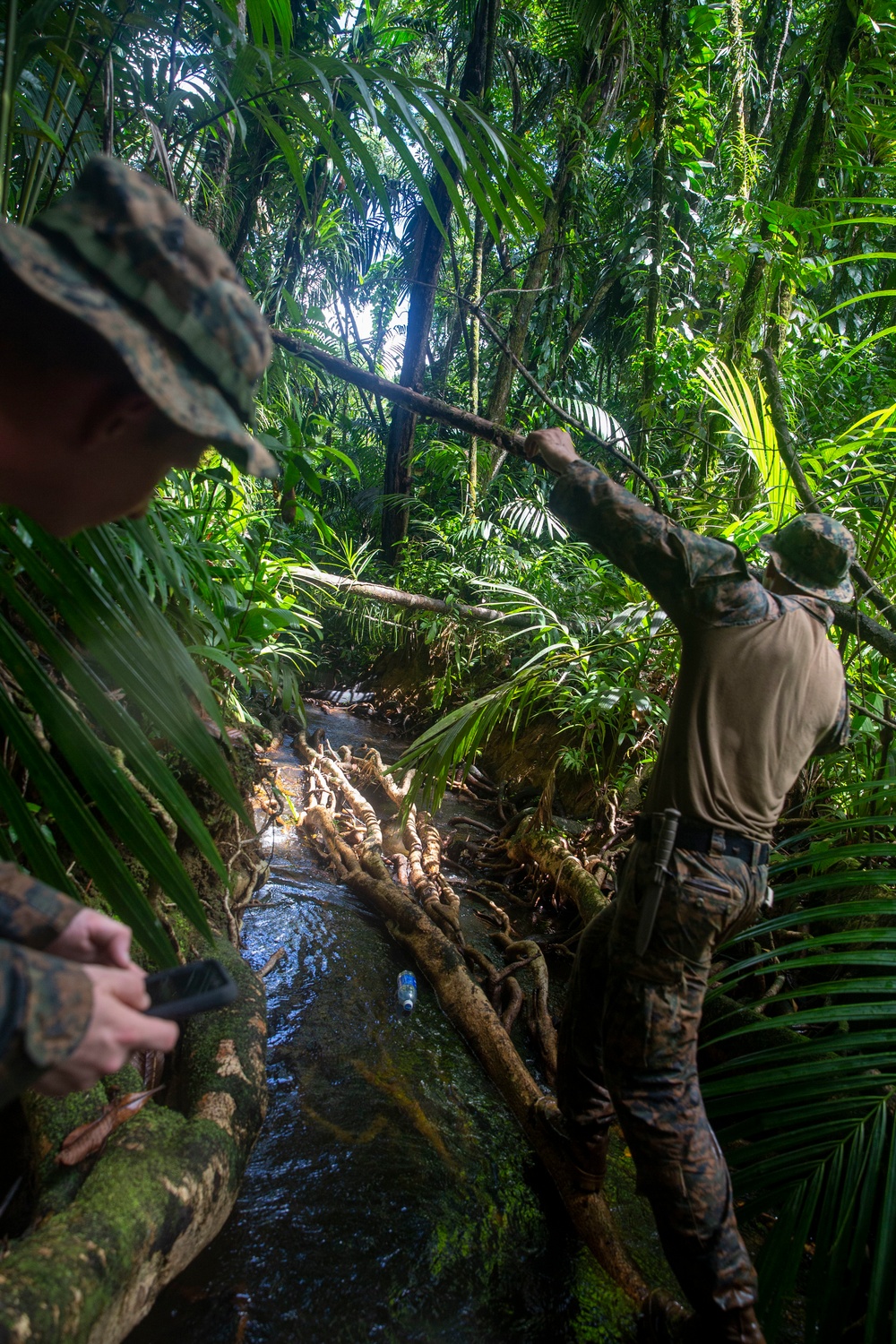 U.S. Marines and Local Environmentalists Survey the Jungle | Task Force Koa Moana 22