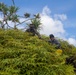 U.S. Marines and Local Environmentalists Survey the Jungle | Task Force Koa Moana 22