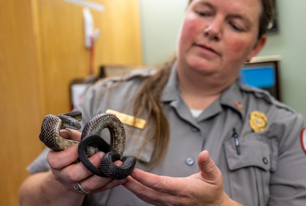 A life with the critters: Former ‘tiger queen’ fulfills her love for animals with career as park ranger