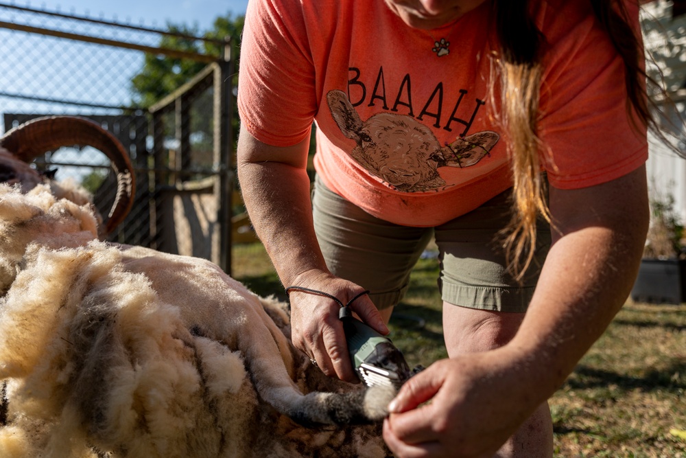 Sheep Shears Charm, Farming