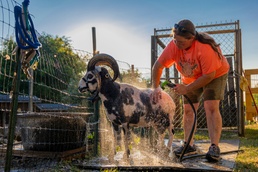 A life with the critters: Former ‘tiger queen’ fulfills her love for animals with career as park ranger