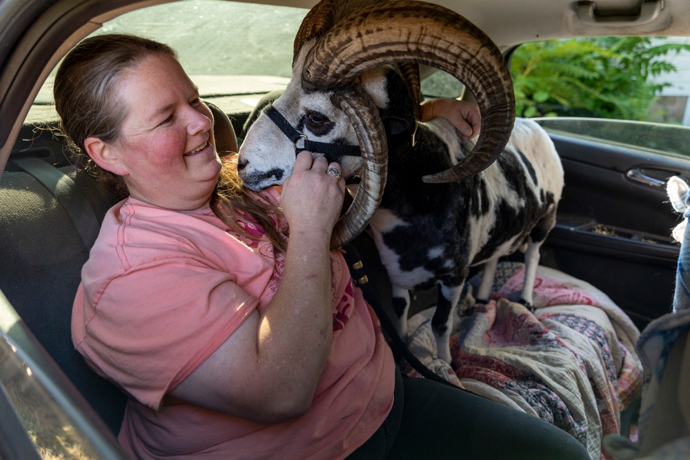 A life with the critters: Former ‘tiger queen’ fulfills her love for animals with career as park ranger