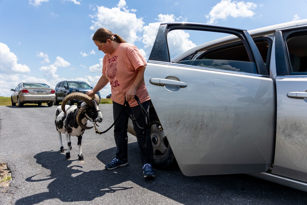 A life with the critters: Former ‘tiger queen’ fulfills her love for animals with career as park ranger