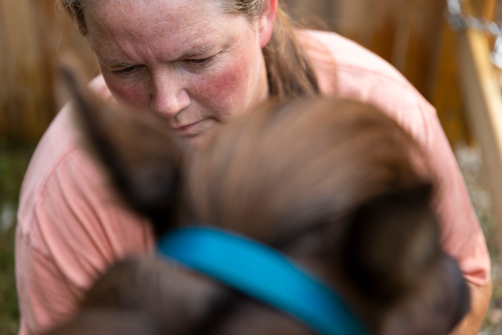 A life with the critters: Former ‘tiger queen’ fulfills her love for animals with career as park ranger