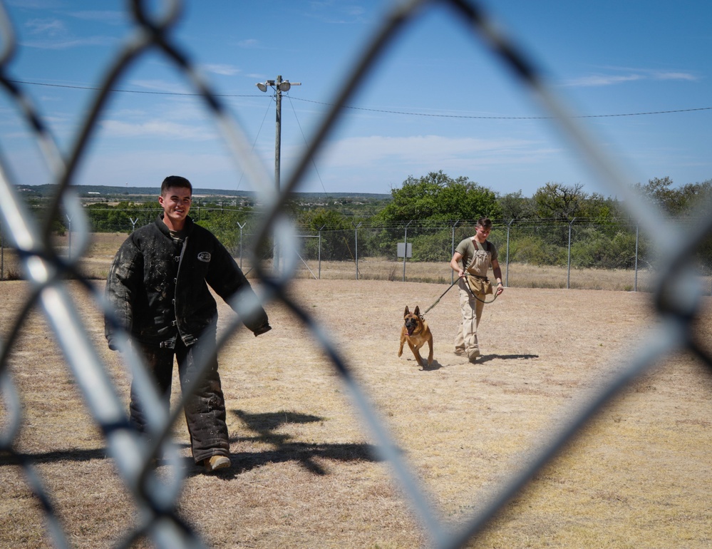 West Point Cadets visit Fort Hood working dog handlers