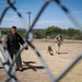 West Point Cadets visit Fort Hood working dog handlers
