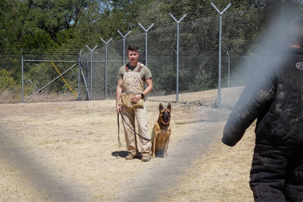 West Point Cadets visit Army working dog handlers