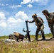 Exercise Burmese Chase: 2nd ANGLICO conducts live-fire range with allies