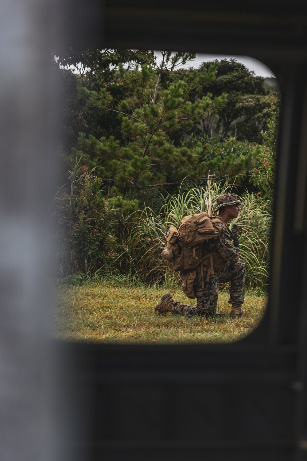 MWSS-171 and MWSS-172 conduct EABO and LZ clearing operations at Jungle Warfare Training Center