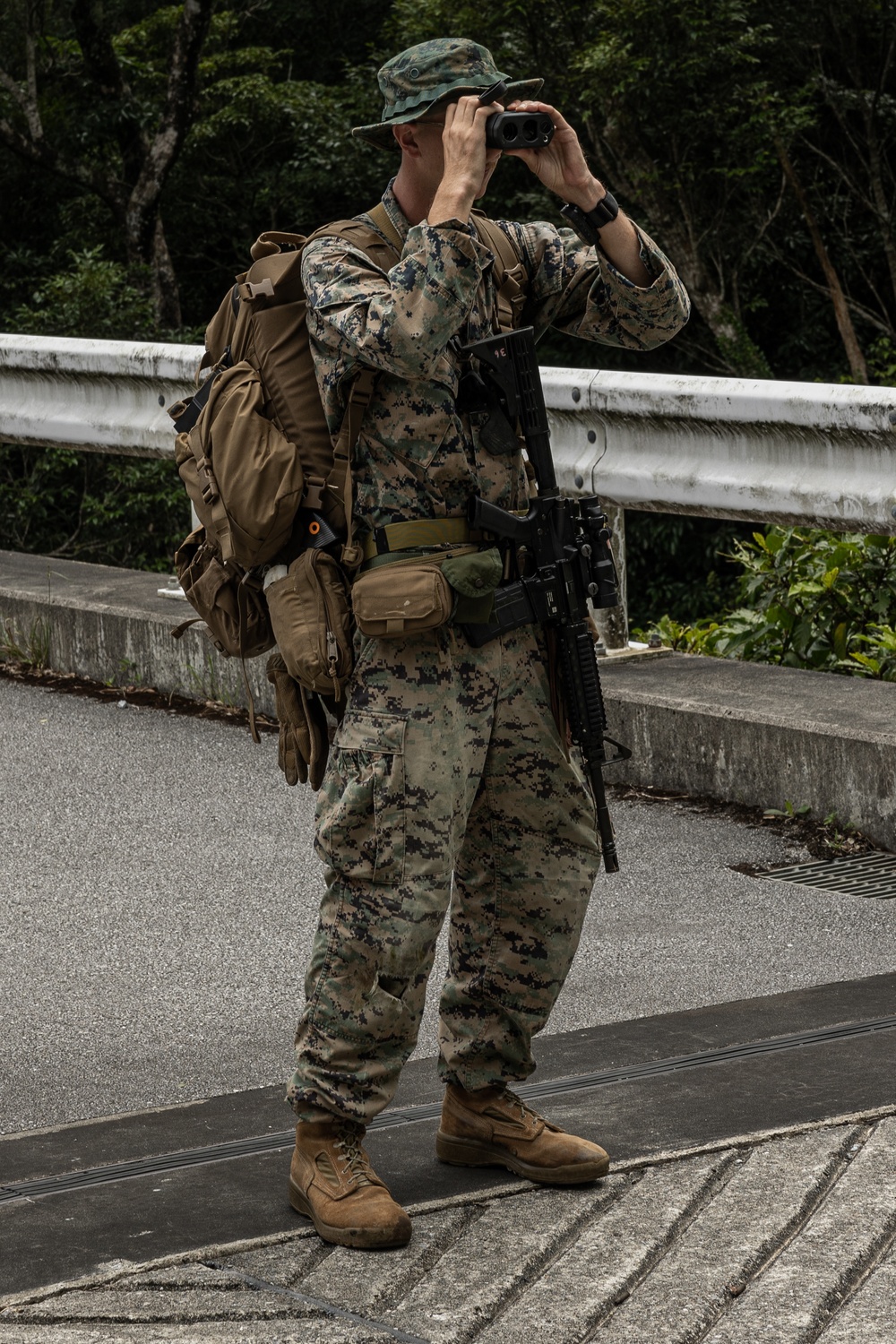 MWSS-171 and MWSS-172 conduct EABO and LZ clearing operations at Jungle Warfare Training Center