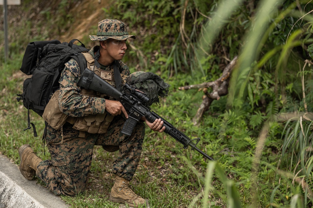 MWSS-171 and MWSS-172 conduct EABO and LZ clearing operations at Jungle Warfare Training Center