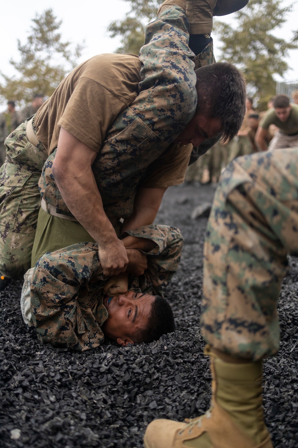 1st LAR Midshipmen Marine Week