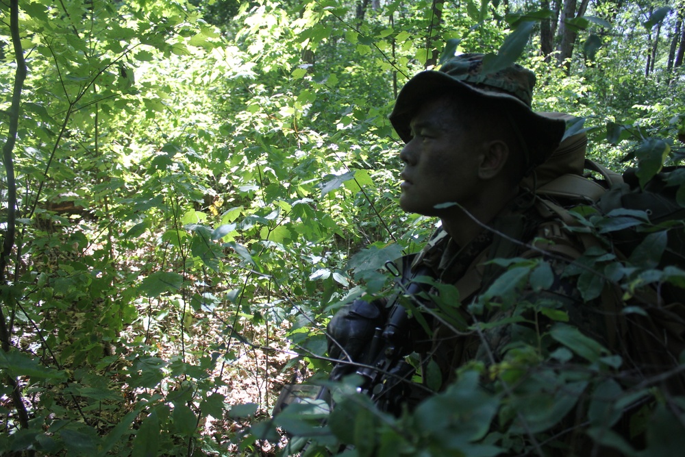 Marines, Navy Corpsmen train in casualty care field exercise