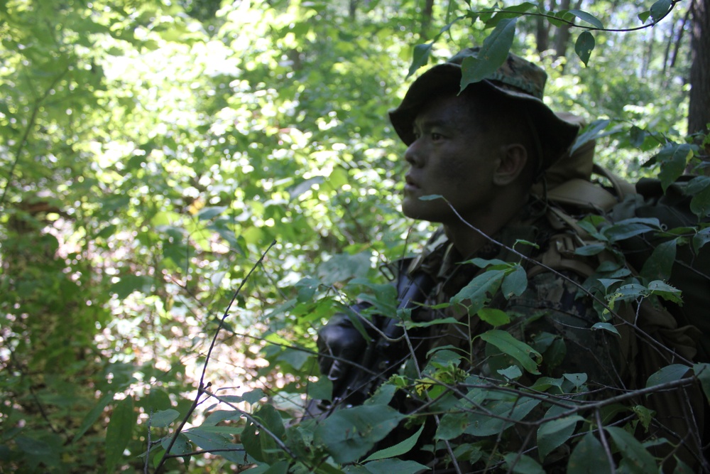 Marines, Navy Corpsmen train in casualty care field exercise