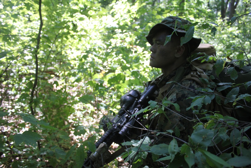 Marines, Navy Corpsmen train in casualty care field exercise