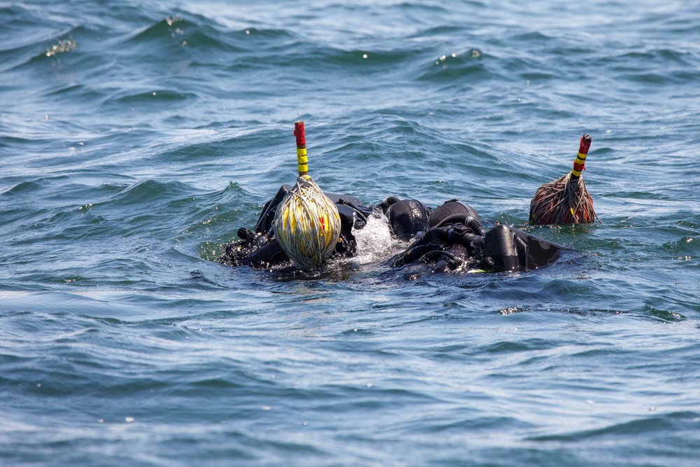 Dive Team Four Conducts Mine Clearance Exercise During RIMPAC 2022 SOCAL