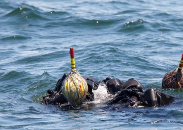 Dive Team Four Conducts Mine Clearance Exercise During RIMPAC 2022 SOCAL
