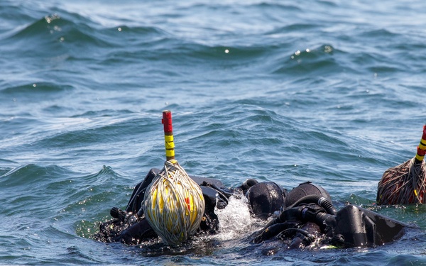Dive Team Four Conducts Mine Clearance Exercise During RIMPAC 2022 SOCAL