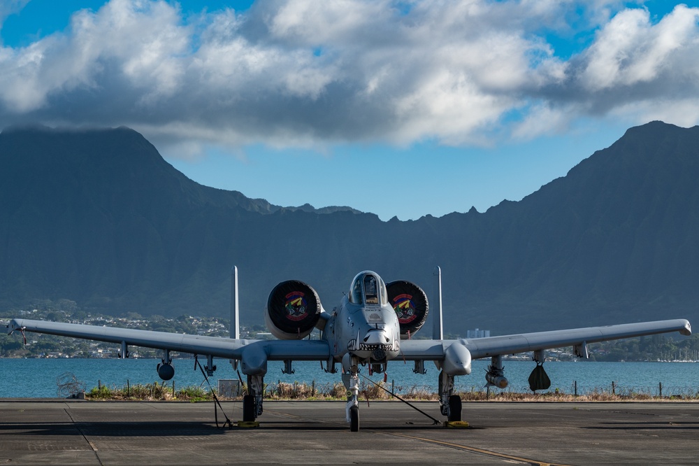 USAF Reserve 924th FG, 944th FW bring 200+ Airmen, 10 A-10 Warthogs to Hawaii for RIMPAC 2022