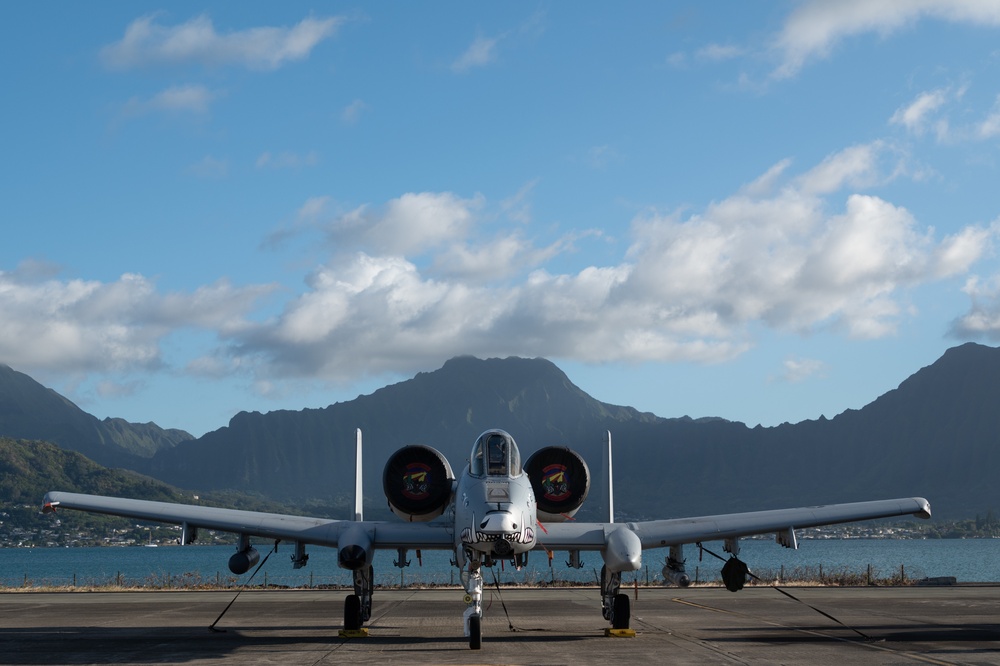 USAF Reserve 924th FG, 944th FW bring 200+ Airmen, 10 A-10 Warthogs to Hawaii for RIMPAC 2022
